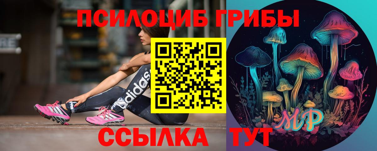 Псилоцибиновые грибы Psilocybine cubensis  Вход с VPN  Зима 